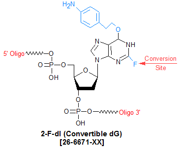 picture of Convertible dG (2-Fluoro deoxy inosine)